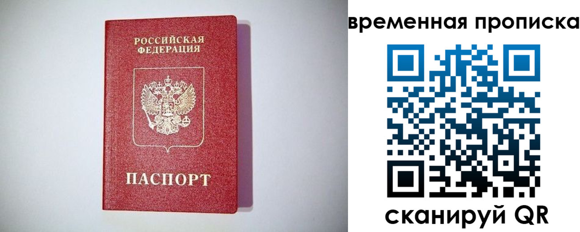 временная регистрация гарантия в Мытищах